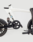 BlueRev Micro