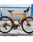 BlueRev U-lock with cable