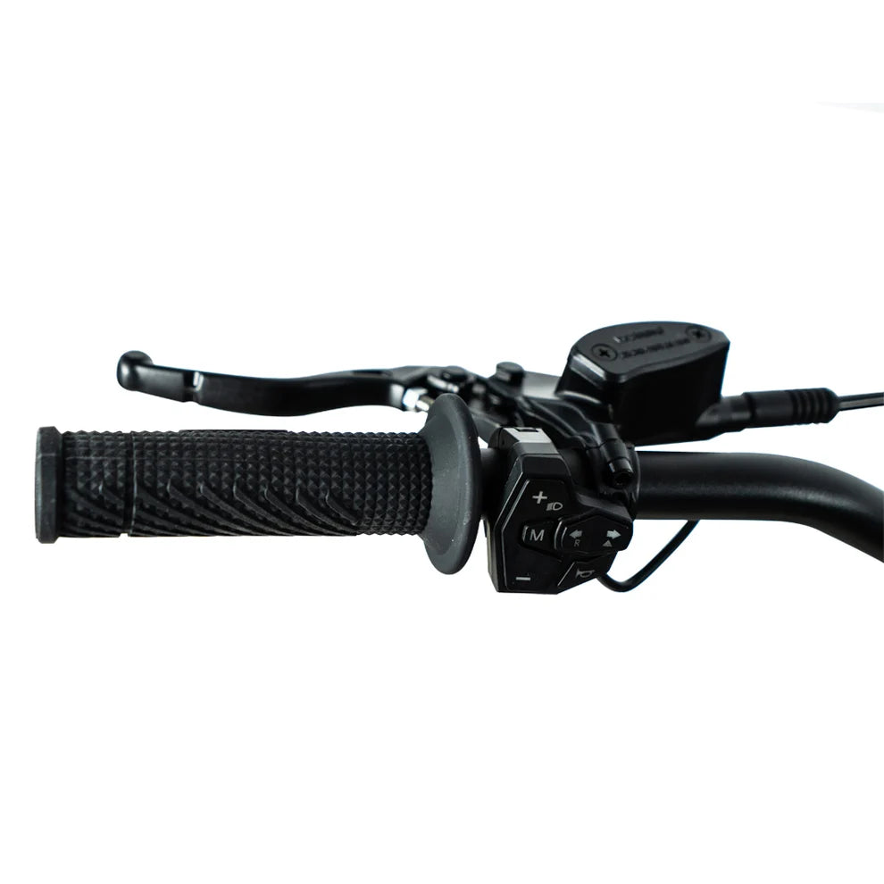 Electripet Grasshopper SE 72v 60aH 17kW