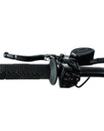 Electripet Grasshopper SE 72v 60aH 17kW
